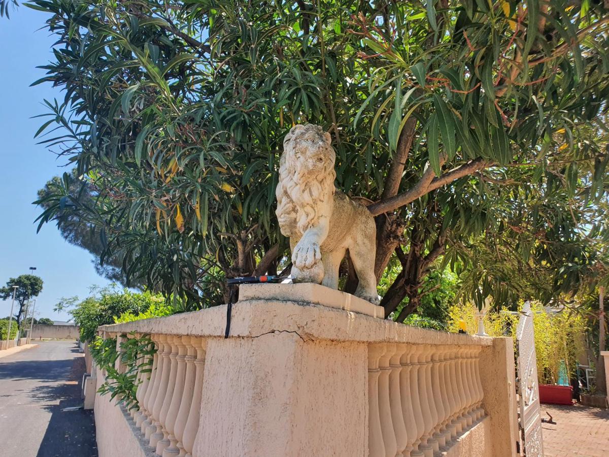 Villa Les Palmiers -Stretta Di I Mandarini Lucciana  Εξωτερικό φωτογραφία
