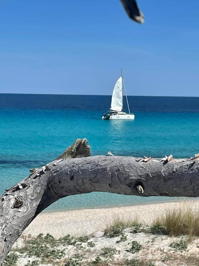 Villa Les Palmiers -Stretta Di I Mandarini Lucciana  Εξωτερικό φωτογραφία