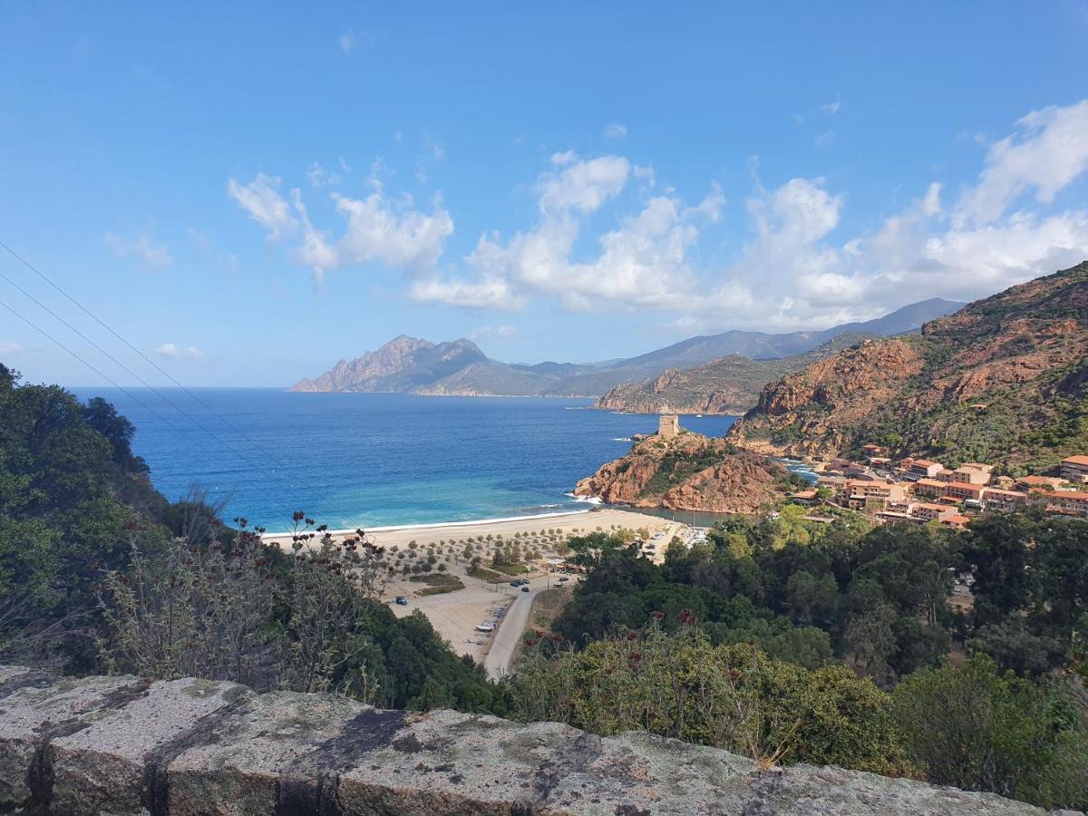 Villa Les Palmiers -Stretta Di I Mandarini Lucciana  Εξωτερικό φωτογραφία