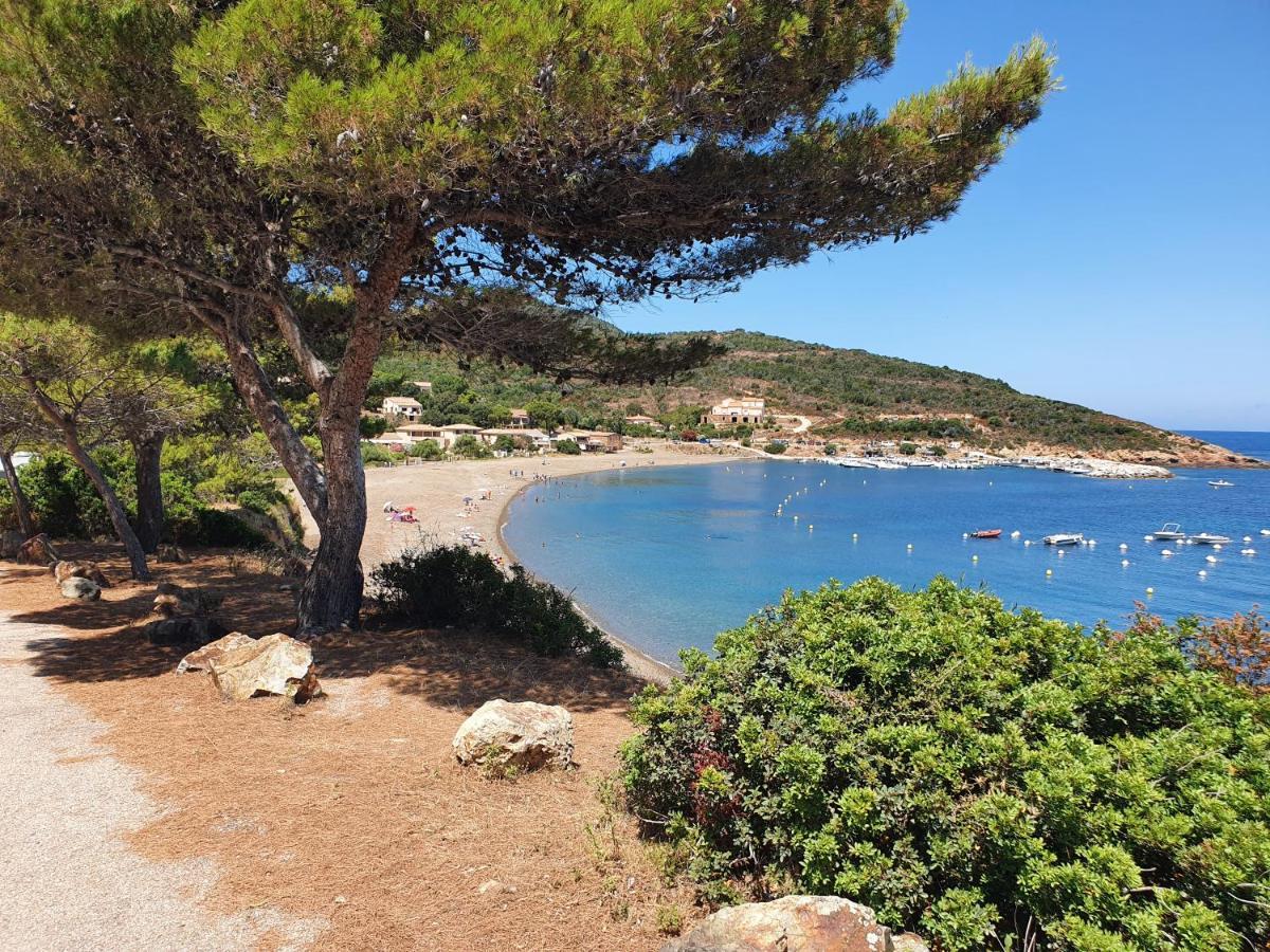 Villa Les Palmiers -Stretta Di I Mandarini Lucciana  Εξωτερικό φωτογραφία